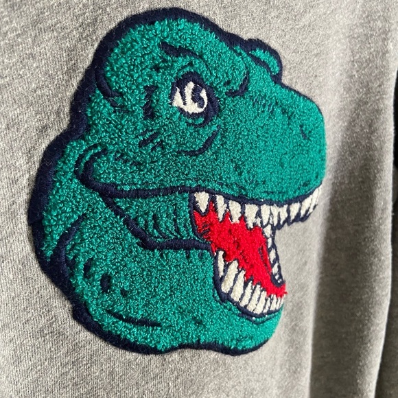 Carter's Boys Crew Neck Dinosaur T-Rex Patch Sweatshirt Pullover Gray Sz 10 - Picture 3 of 10